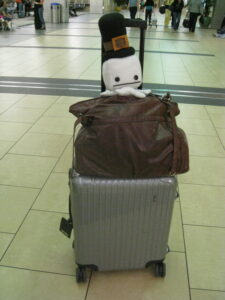 Hatty prepares for departure! 